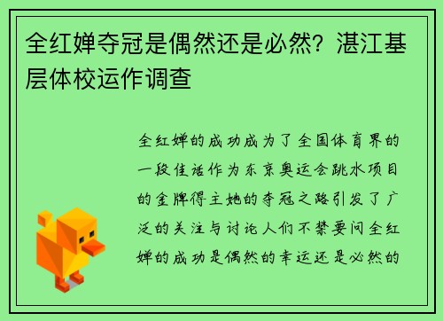 全红婵夺冠是偶然还是必然？湛江基层体校运作调查